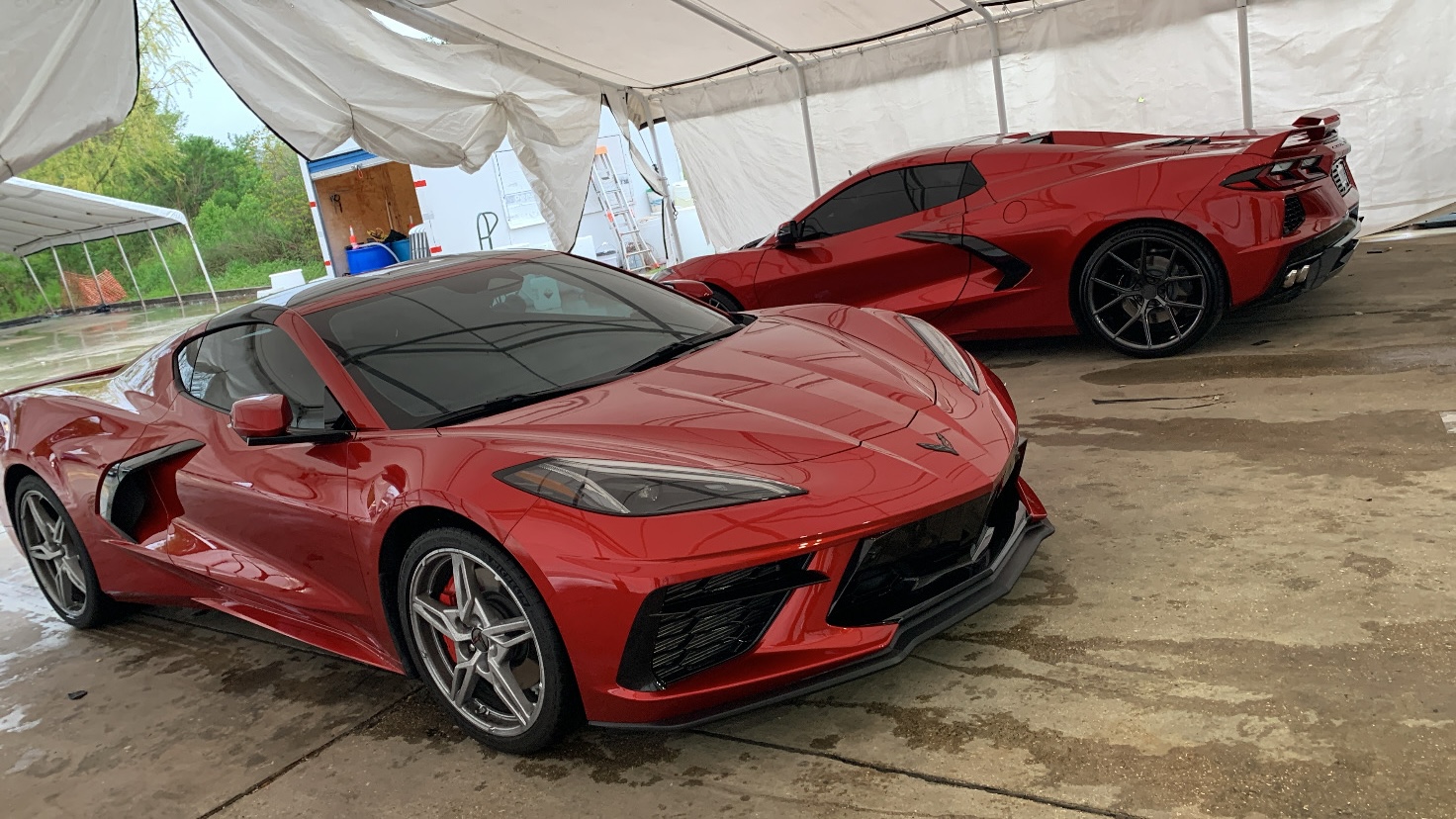 Glossy red show cars, freshly detailed